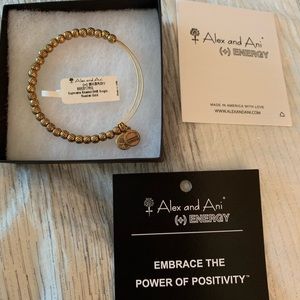 Alex and Ani Euphrates beaded bracelet